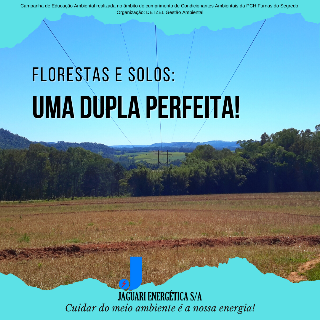 Florestas e Solos: UMA DUPLA PERFEITA!